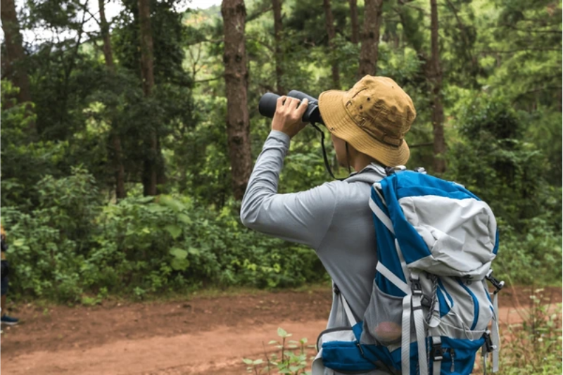 Trekking Trails