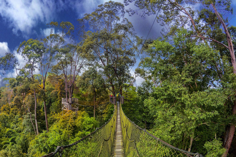 Trekking Trails